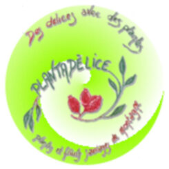 logo Plantadélice